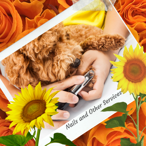 Groomer trimming a small dog’s nails surrounded by bright flowers, representing gentle pet grooming and care – My Companion Vet Australia.