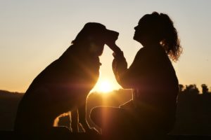 Silhouette of a woman gently touching her dog at sunset, representing love, trust, and the special bond between pets and their owners – My Companion Vet Australia.