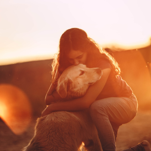Woman hugging her golden retriever at sunset, showing love and companionship between owner and pet – My Companion Vet Australia.