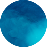 Untitled design (6)